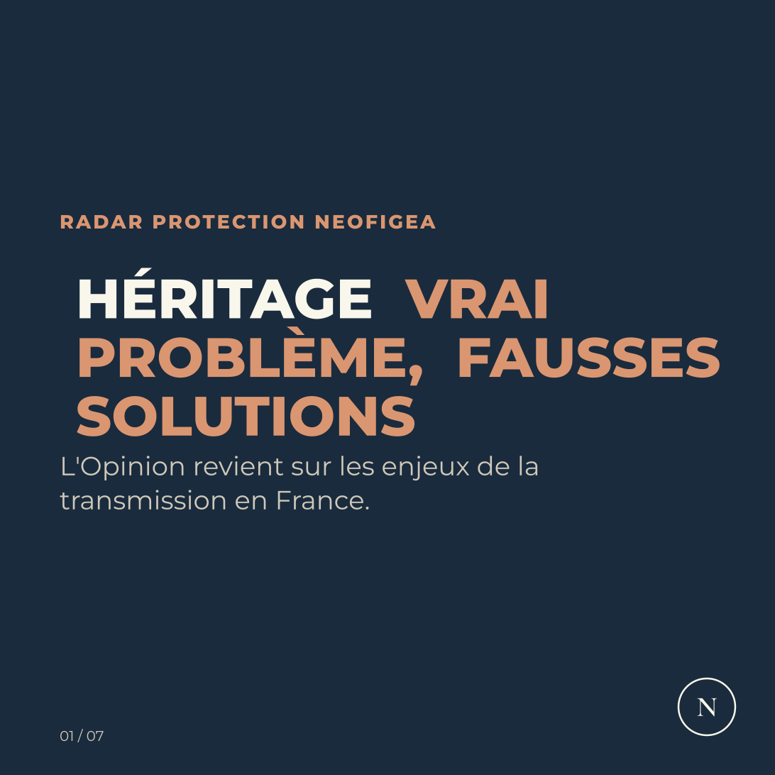 Carrousel Héritage : vrai problème, fausses solutions - l'Opinion, visuel 1