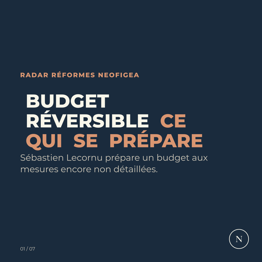 Carrousel Soutien aux agriculteurs, surtaxe des grandes entreprises, indemnisation des arrêts maladie... Sébastien Lecornu prépare un dernier budget «, visuel 1